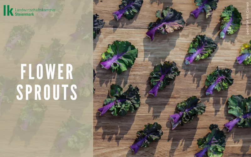Lebensmittel der Woche: Flower Sprouts
