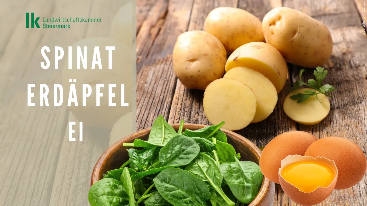 Spinat-Erdäpfel-Ei