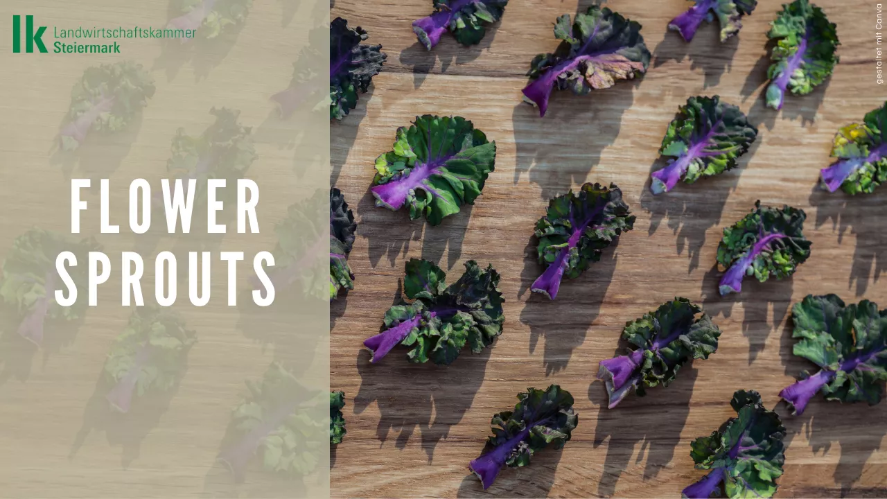 Lebensmittel der Woche: Flower Sprouts