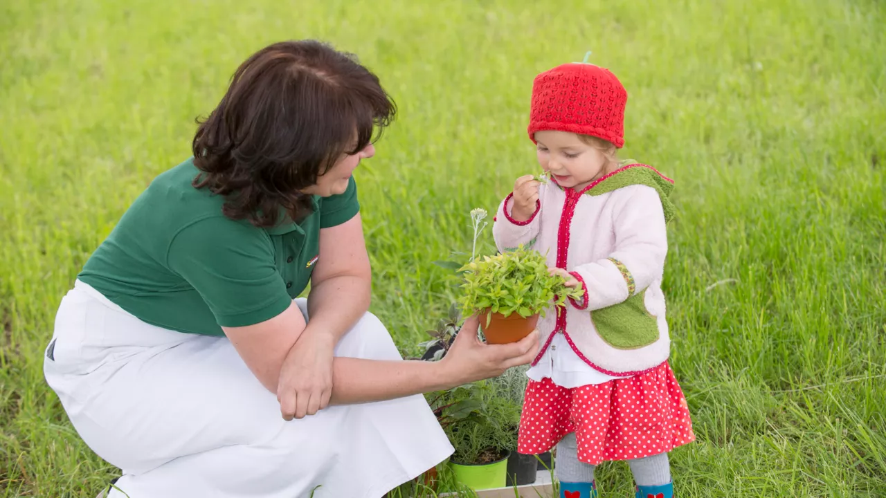 Geschmacksschule - Sinnesreise