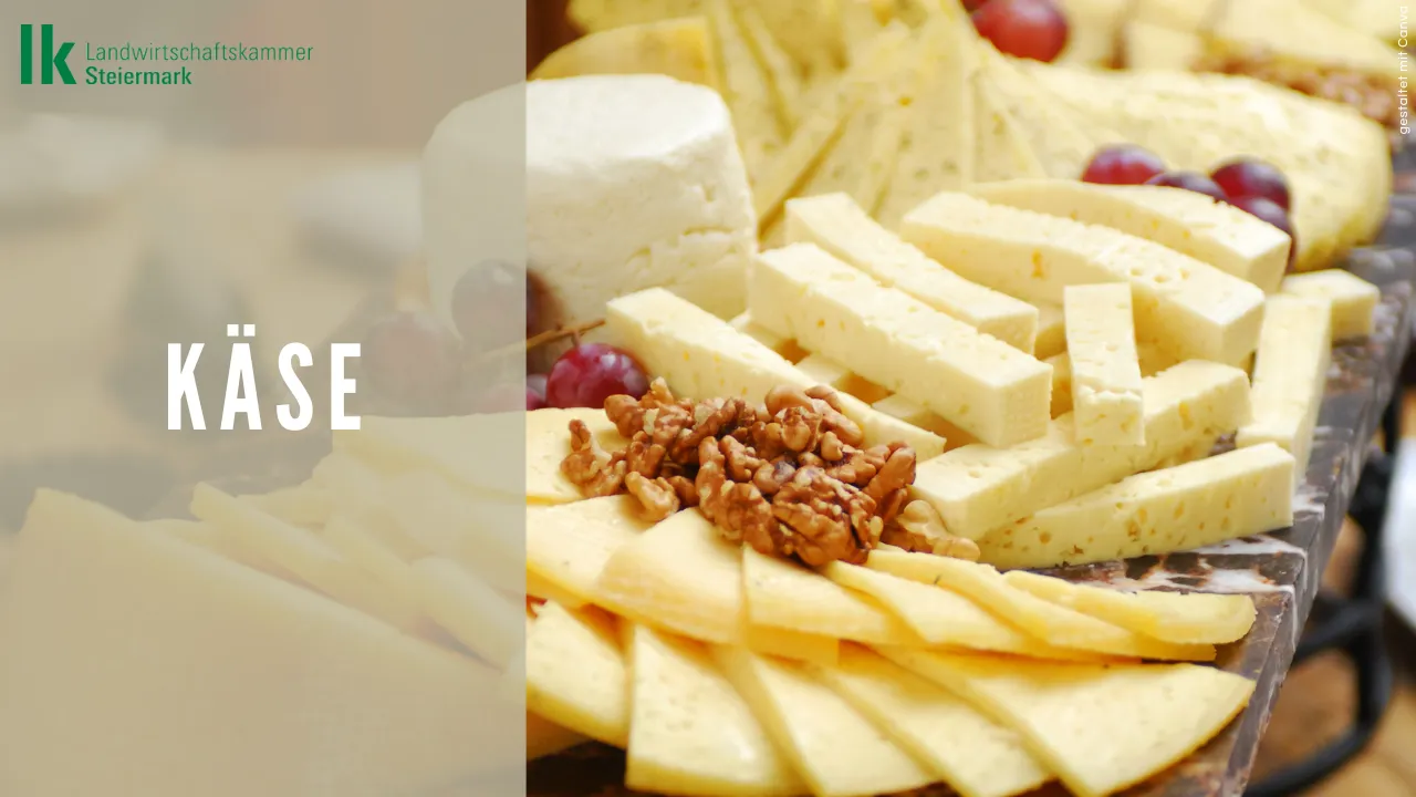 Käse 