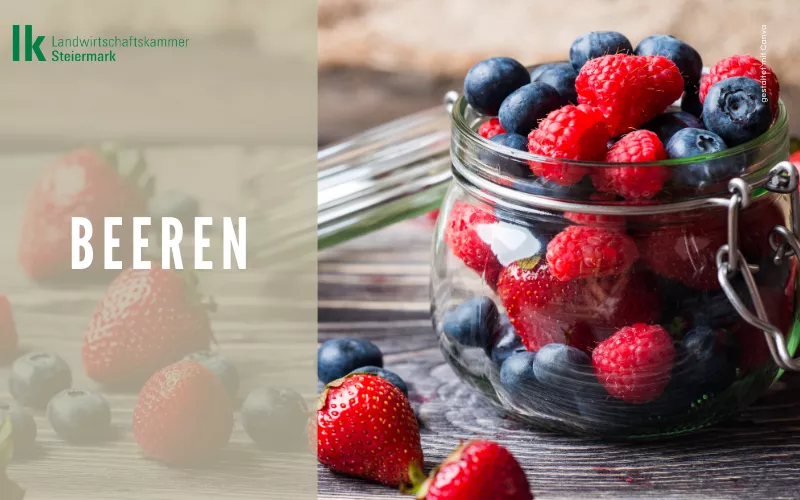 Star des Monats: Beeren