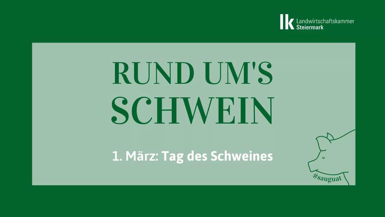 Tag des Schweines