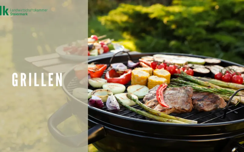 Grillen - 