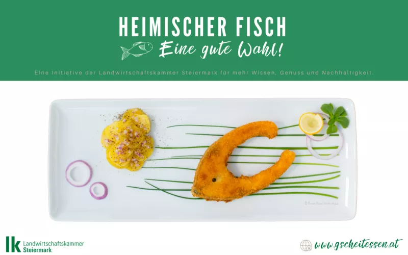 Heimischer Fisch - eine gute Wahl!