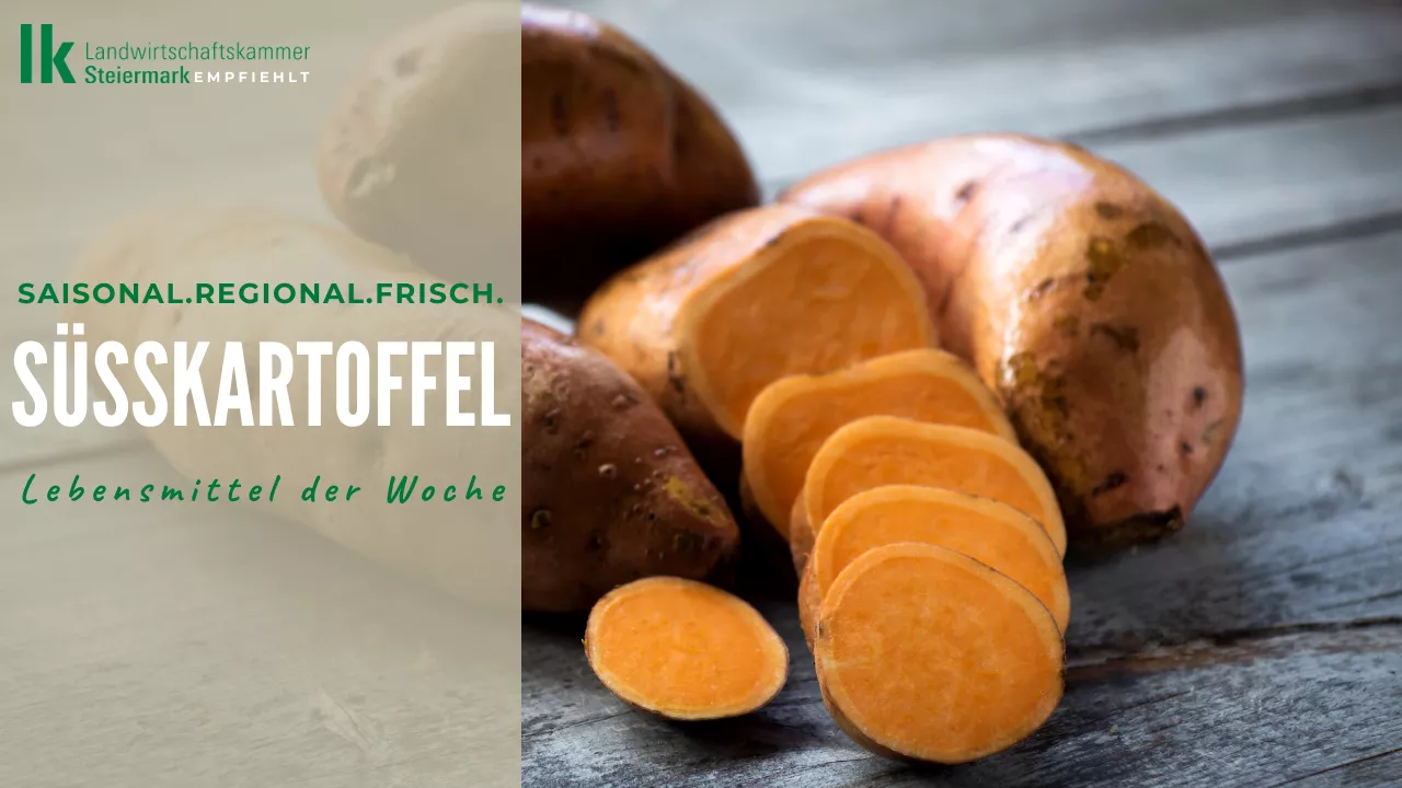 Lebensmittel der Woche: Süßkartoffel