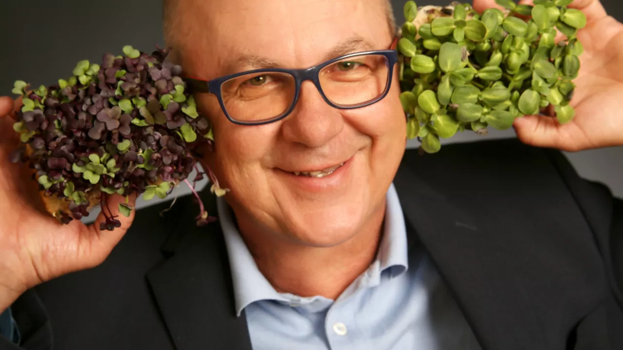Sprossen: zu Gast im Vitaminreich