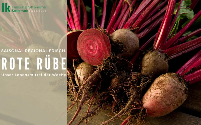 Immun-Booster: Rote Rübe