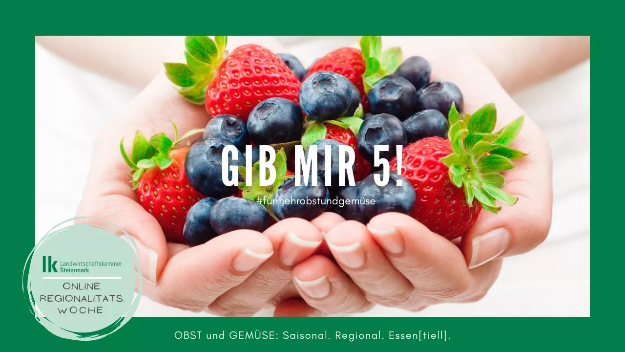 5x am Tag Obst und Gemüse