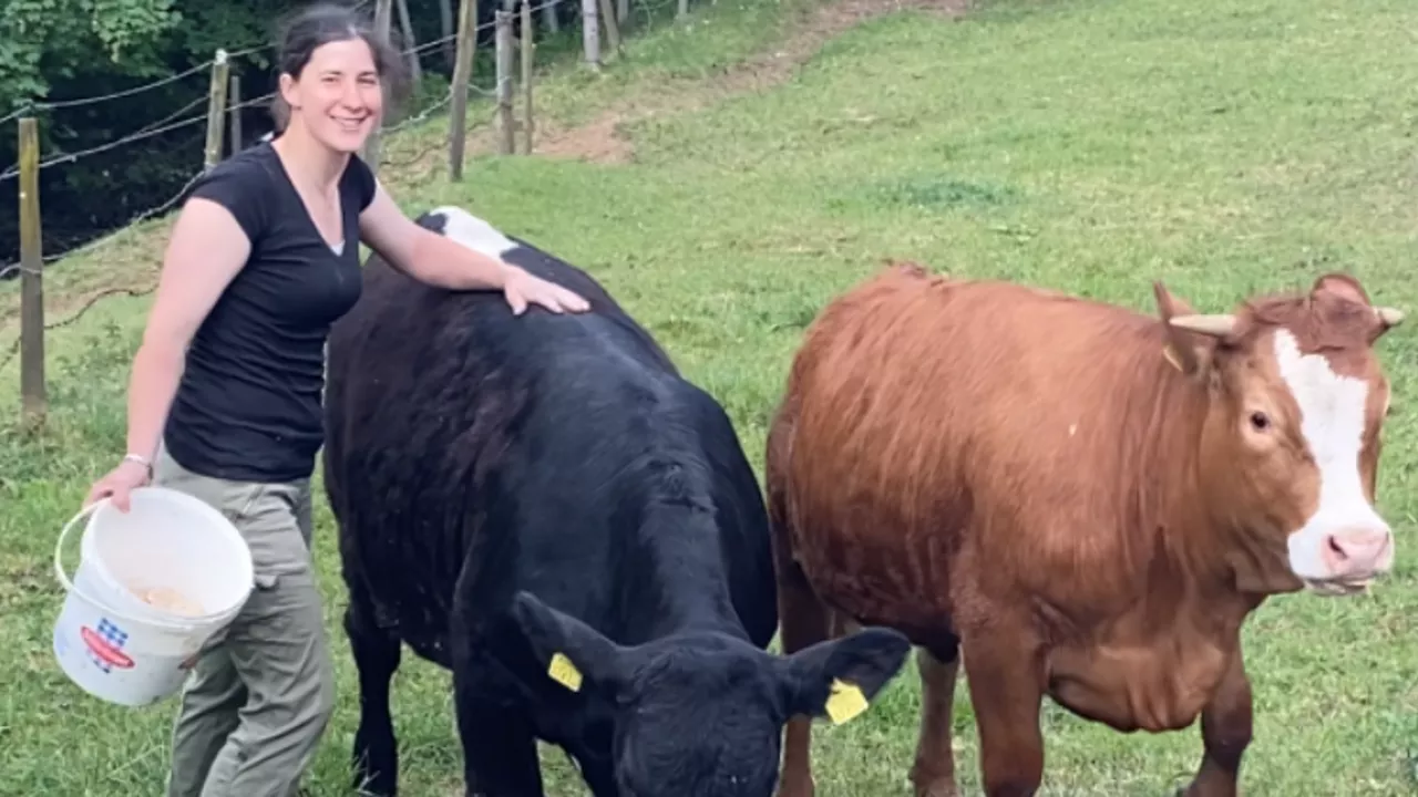 Zu Gast am Styra Beef-Betrieb