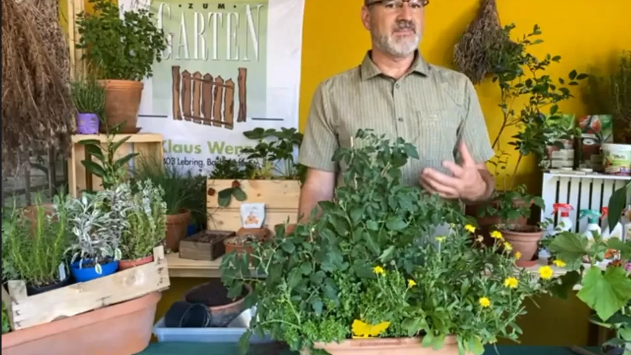 Das war die ORW 2021