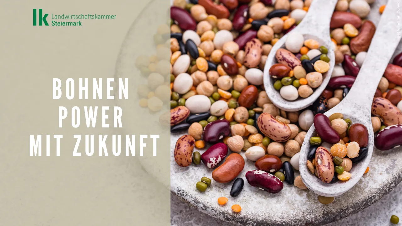 Volle Bohne -  volle Power