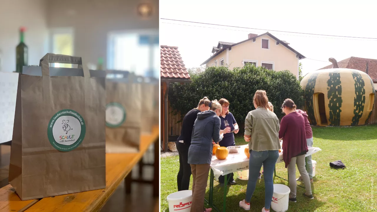Schule trifft Bauernhof