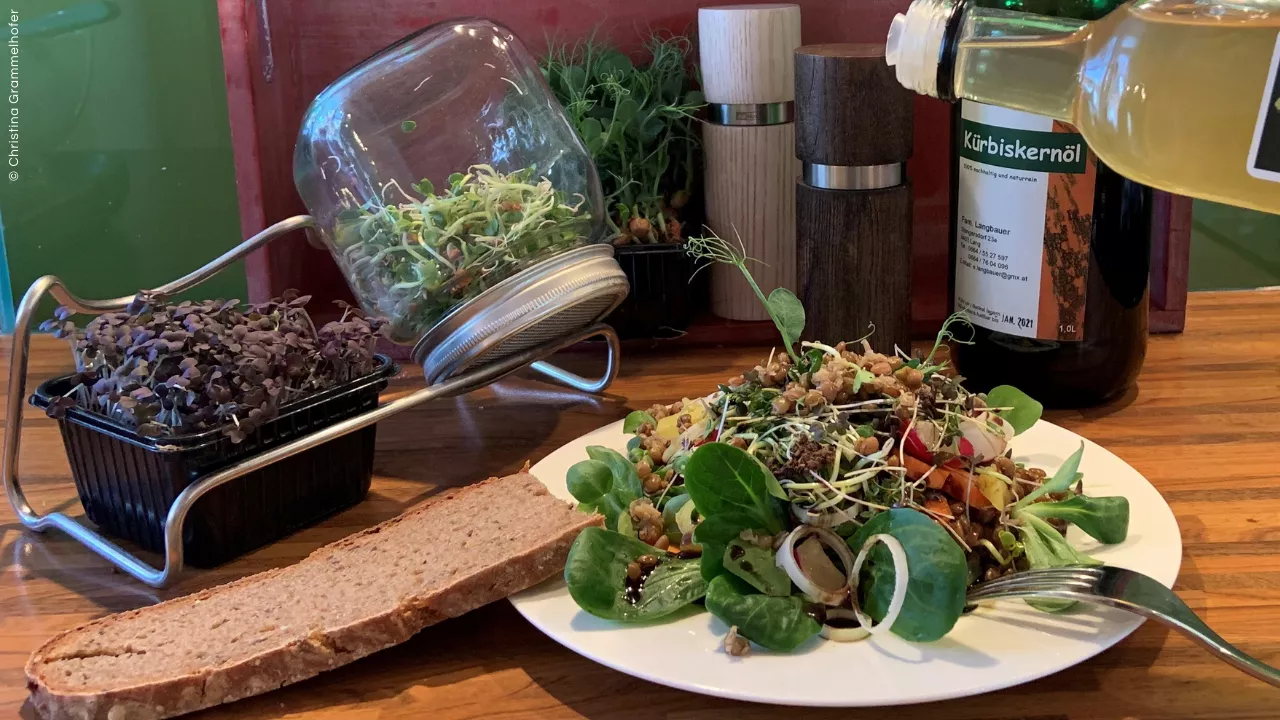 Linsensalat mit frischen Sprossen