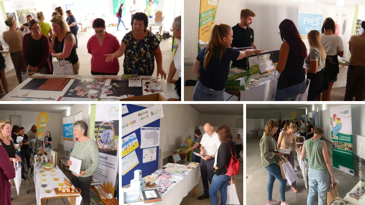 Schule trifft Bauernhof