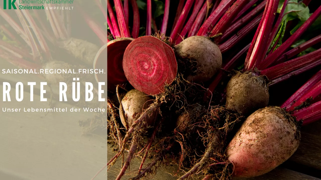 Immun-Booster: Rote Rübe