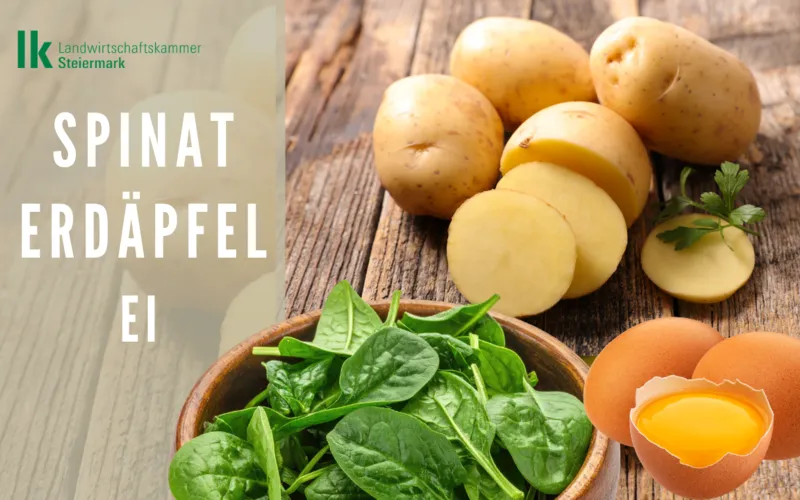 Spinat-Erdäpfel-Ei