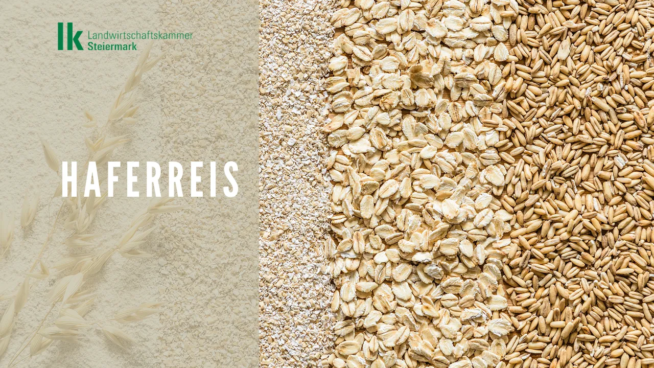 Haferreis - ein heimisches Superfood