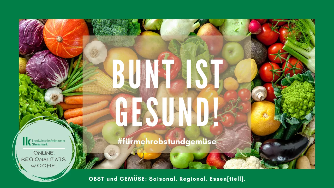 Farbstoffe und ihre Wirkung