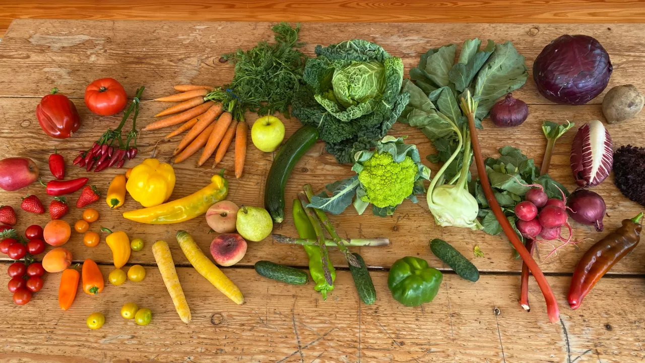 Das war die ORW 2021