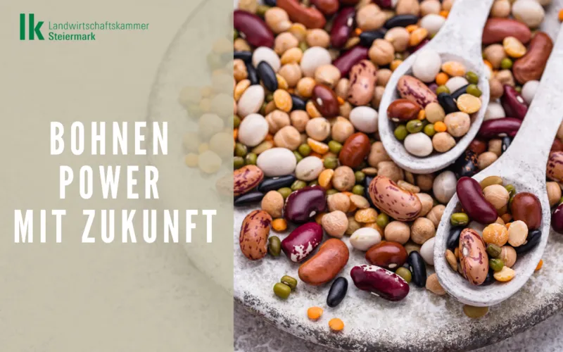 Volle Bohne -  volle Power