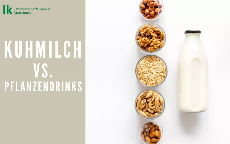 Milch vs. Pflanzendrinks