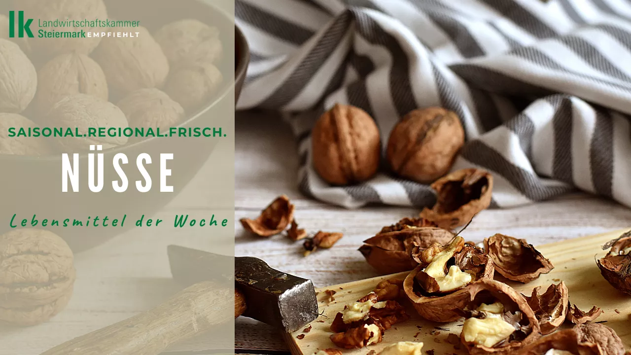 Lebensmittel der Woche: Nüsse