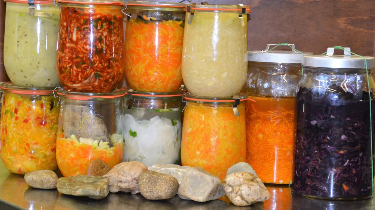 Webinar:  Gemüse fermentieren - Power für das Immunsystem