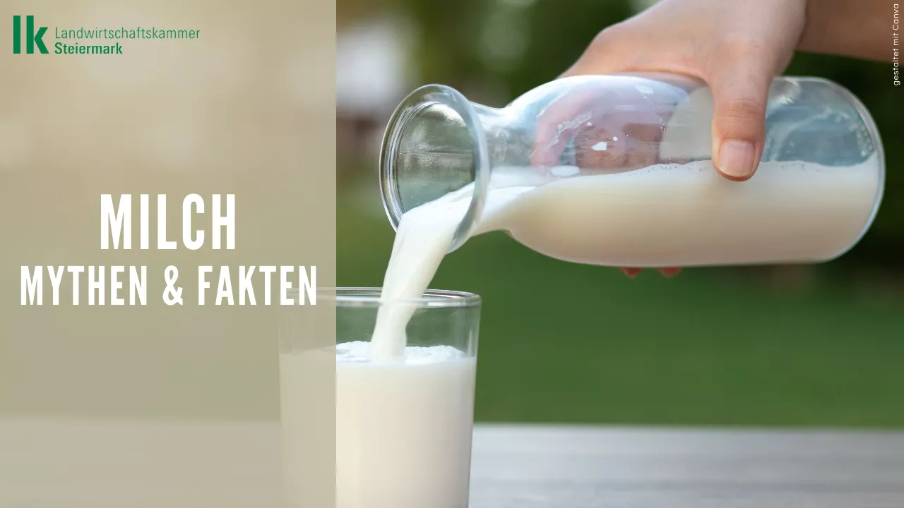 Milch: häufige Fragen und Mythen